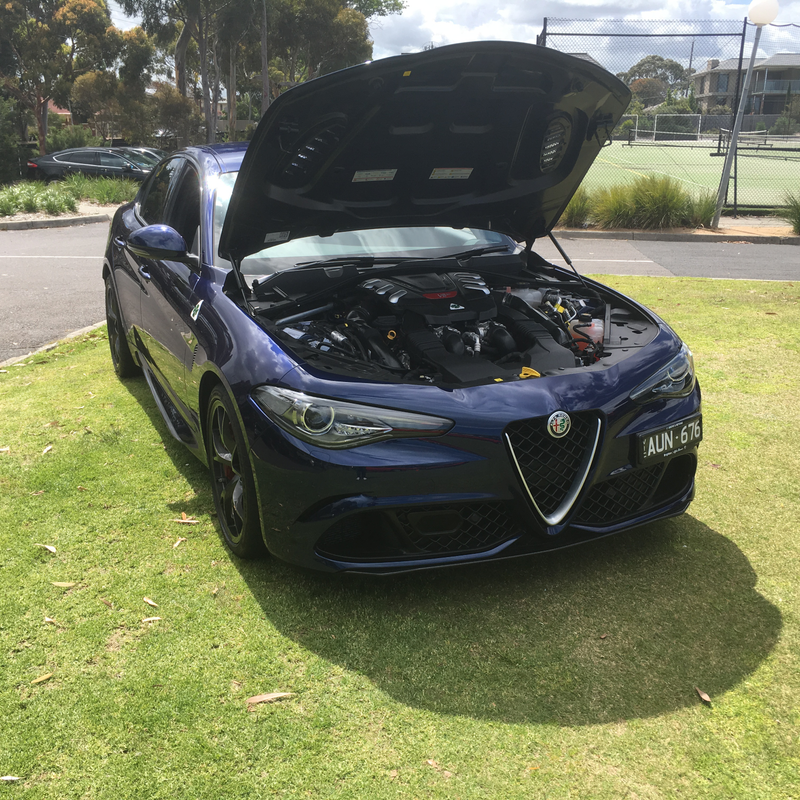 Illustration for article titled Alfa car show pic dump